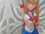Sailor Moon Custom Dolls
